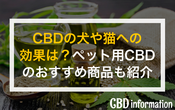 CBDの犬や猫への効果は？ペット用CBDのおすすめ商品も紹介